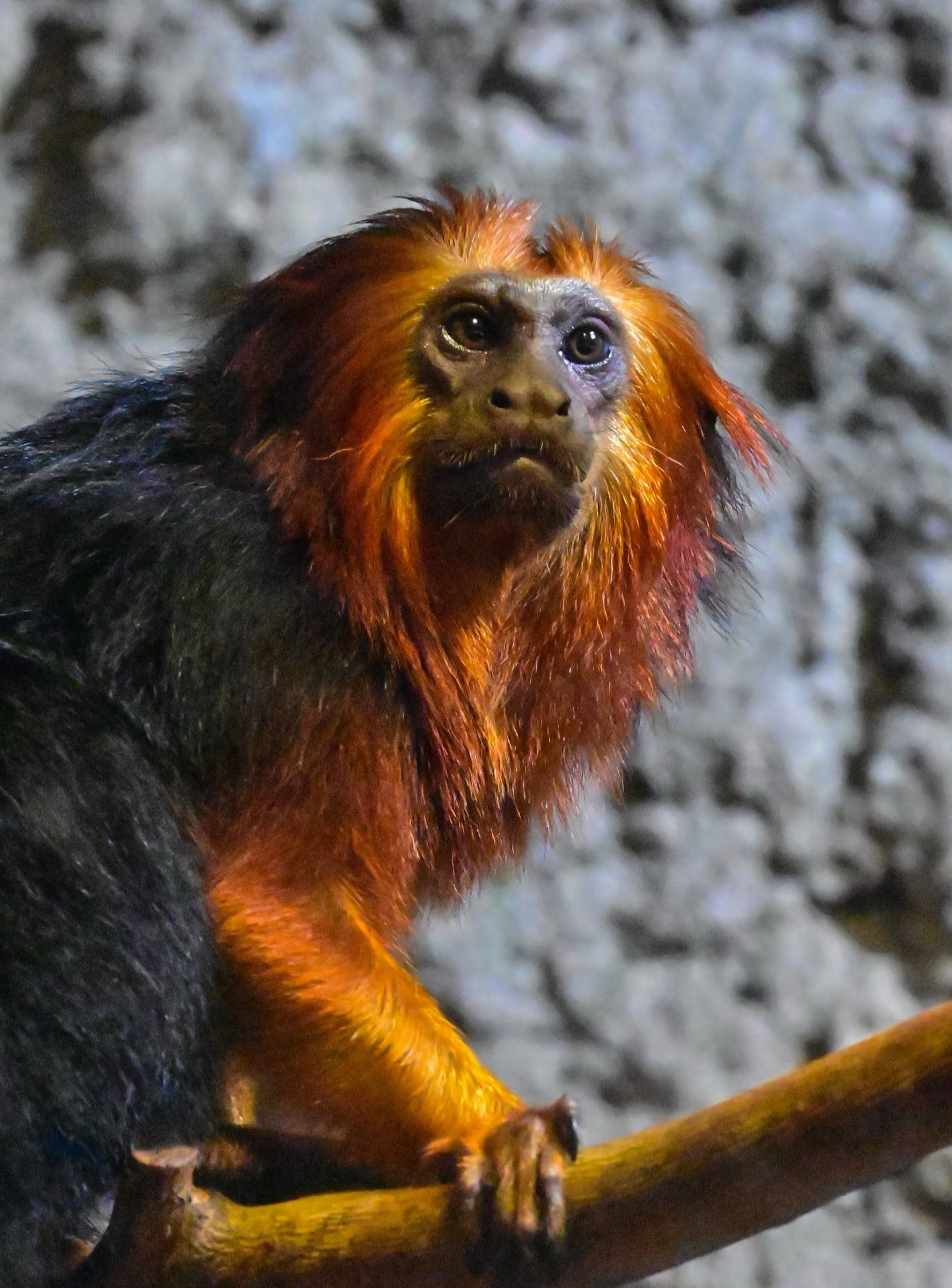 変夌瀧壤决夅的夈夊